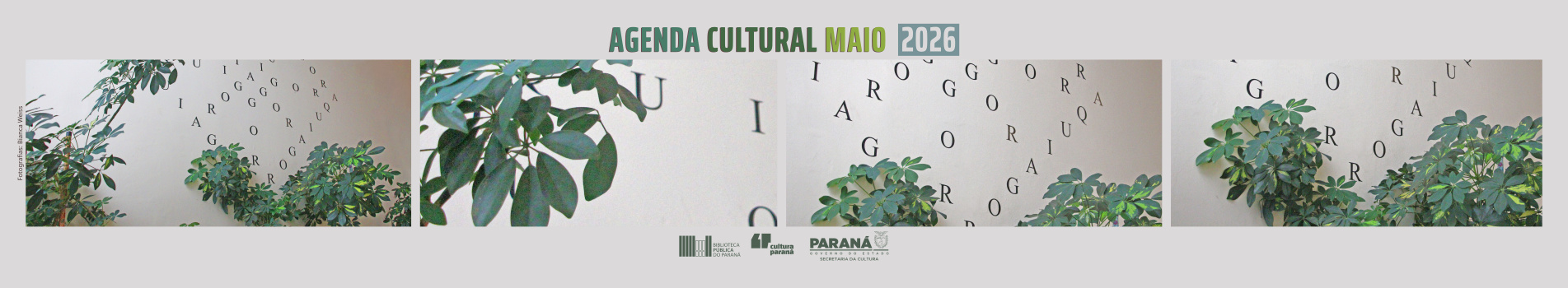 maio 2026