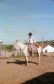 Almiro da Silva