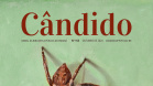 Capa do Cândido 155