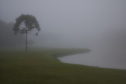 Fotografia 17