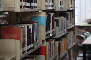 Seção de Literatura da BPP