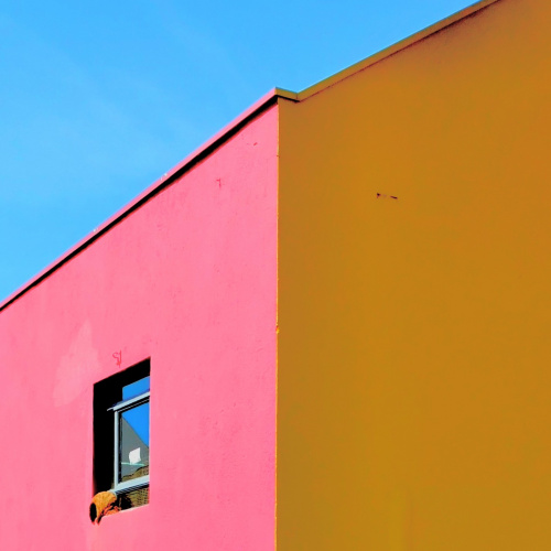 Foto 1 - Tiago Alvarez