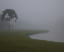 Fotografia 17