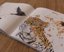 caderno_de_artista_foto_isabella_honorio