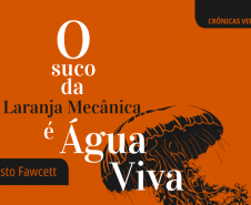 cronicas vertigens 167