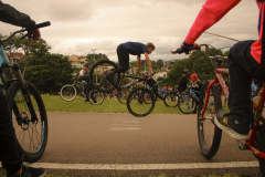 Ciclo cultural_01