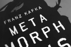 kafka culpa