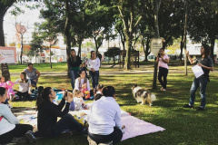 Piquenique Literário