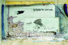 Com um requinte estético na captura de texturas sutis e grafismos vigorosos, o artista compõe suas obras e desenvolve sua poética, na qual a ideia de transformação, de movimento e vida de superfícies inanimadas possui um corpo intenso.
