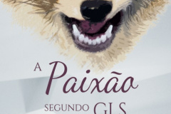 Lançamento livro
