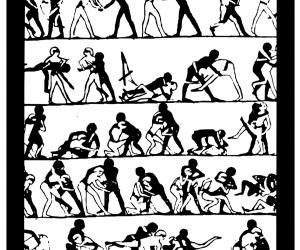 Cândido 163 - Detalhes da capa