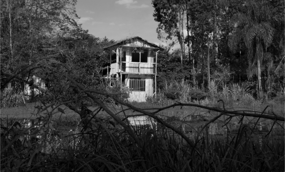 Monique Eveline Grings