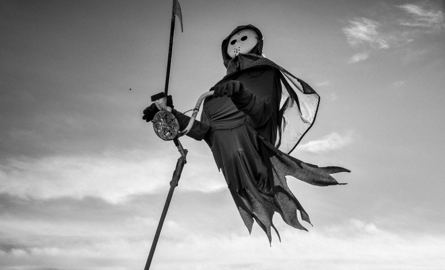 Monique Eveline Grings