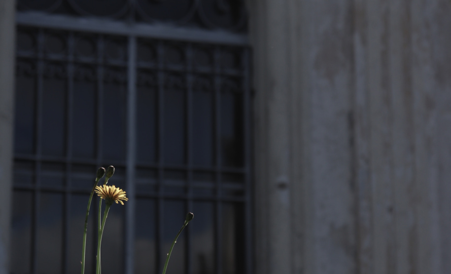 Ao eterno, ao efêmero 13