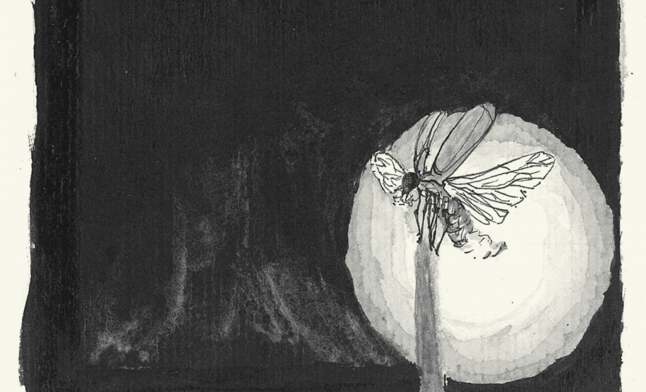 Parcial Capa Cândido 160