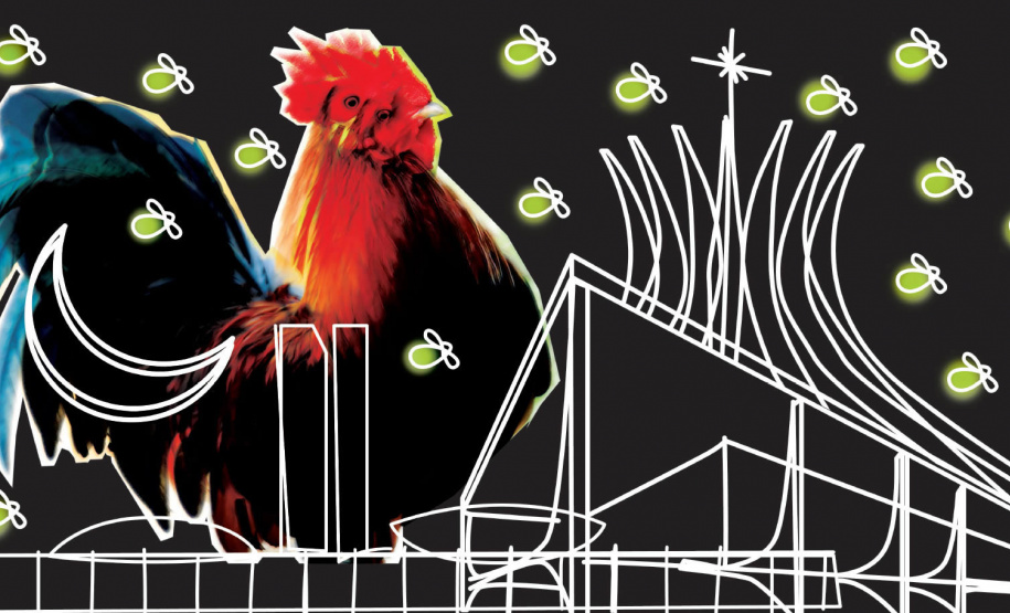 Uma revoada de vaga-lumes