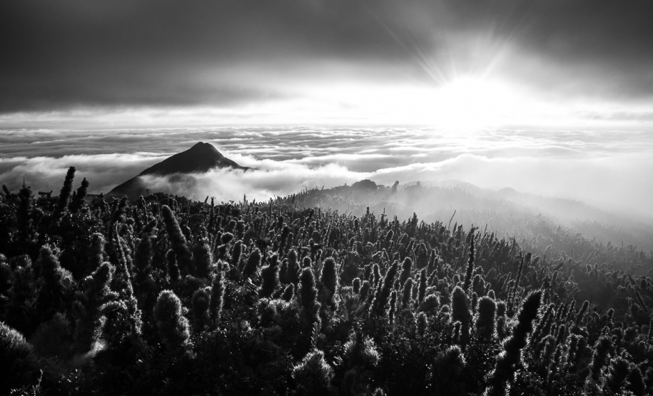 Exposição_Mar de Nuvens