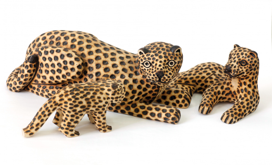 “Arte Indígena” é a terceira mostra que a BPP realiza a partir da parceria com o SESC-PR.