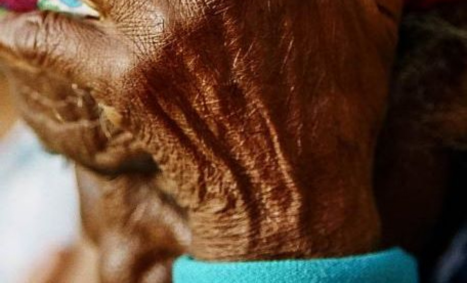 Fernanda Castro Fernanda Castro