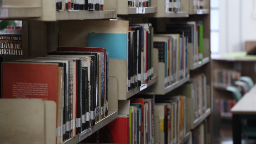 Seção de Literatura da BPP